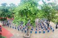 Kiểm tra Công tác Đội và phong trào Thiếu nhi, Năm học 2025-2026